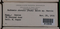 Image Associated With the Occurence